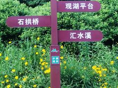 -桃花岭景区