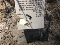 -上海长江河口科技馆