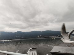-海埂大坝