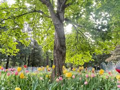 -国家植物园南园