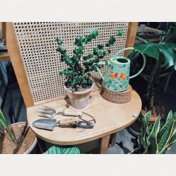 -芳香乐府疗愈空间·SPA·冥想