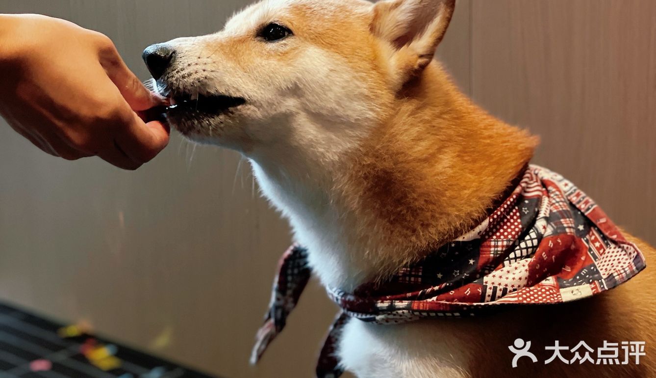 上海新新新店 早c晚a 这家松弛感拉满 冲