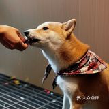 上海新新新店 早c晚a 这家松弛感拉满 冲