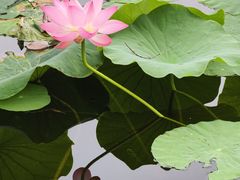 -渭滨公园