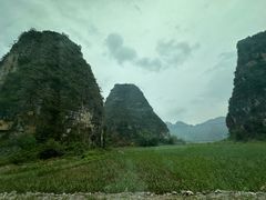 -明仕田园