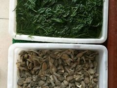 -正宗流钟锅子饼家常菜