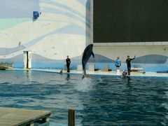 -北戴河圣蓝海洋公园