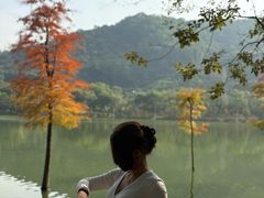 -凤岗南门山森林公园