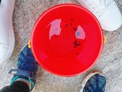 -碓臼峪自然风景区