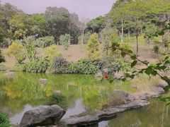 -云溪植物园