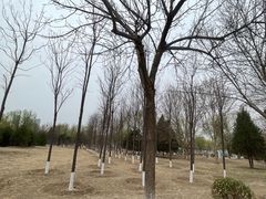 -太阳宫公园