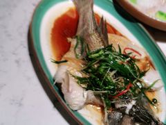 -大榕树下顺德菜(融创茂店)