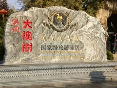 -大槐树寻根祭祖园