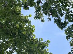 -回龙观体育文化公园