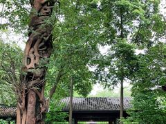 -成都杜甫草堂博物馆