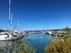 -香港东海海鲜酒家