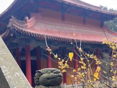 -都江堰普照寺