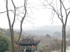 -重庆园博园