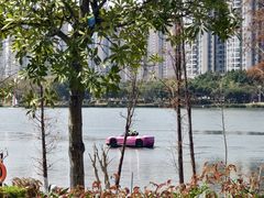 -飞来湖湿地公园