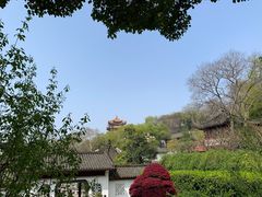 -黄鹤楼