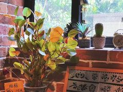 -晓风书屋(大学路店)