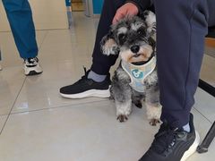 -康爱犬猫诊所·牙专科·骨外科·影像内科(丰宁店)