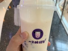 -一只酸奶牛(摩根吾悦广场店)
