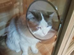 -白兔子密室(长寿路店)