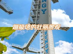 -上海圣淘沙万怡酒店