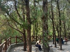 -四门塔风景区