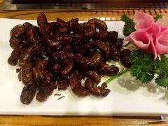 -海拉尔碳烤羊腿烤鸽子(吕营店)