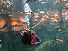 -西雅图水族馆