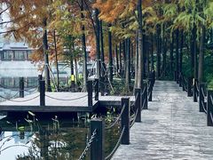 -重庆彩云湖湿地公园