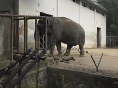 -合肥野生动物园