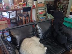 -無鱼咖啡店(淇澳岛店)