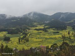-牛街螺丝田