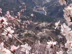 -北京凤凰岭