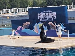 -秦皇岛乐岛海洋王国