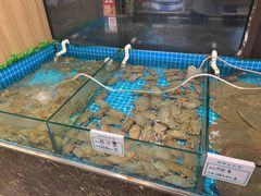 -渡海小渔村.老辈日照菜