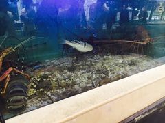 -明香海鲜酒家(华强北店)