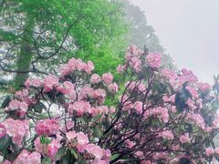 -庐山风景名胜区