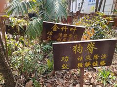 -腾冲市固东中心卫生院