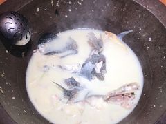 -咕嘟草帽鱼·牛奶一样的鲜鱼汤(包河万达广场创始店)