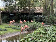 -上海动物园(地铁站)