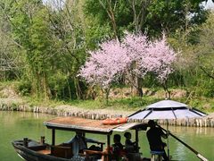 -西溪国家湿地公园