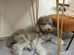 -沏点Trattoria意大利餐厅(新街口店)