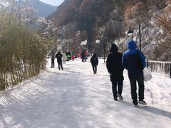 -少华山国家森林公园