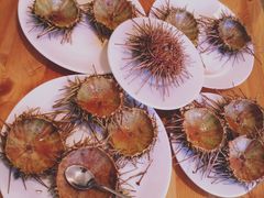 -海胆小馆(东北水饺·春柳店)