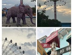 -温州乐园