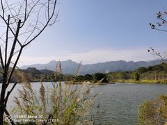 -田野绿世界